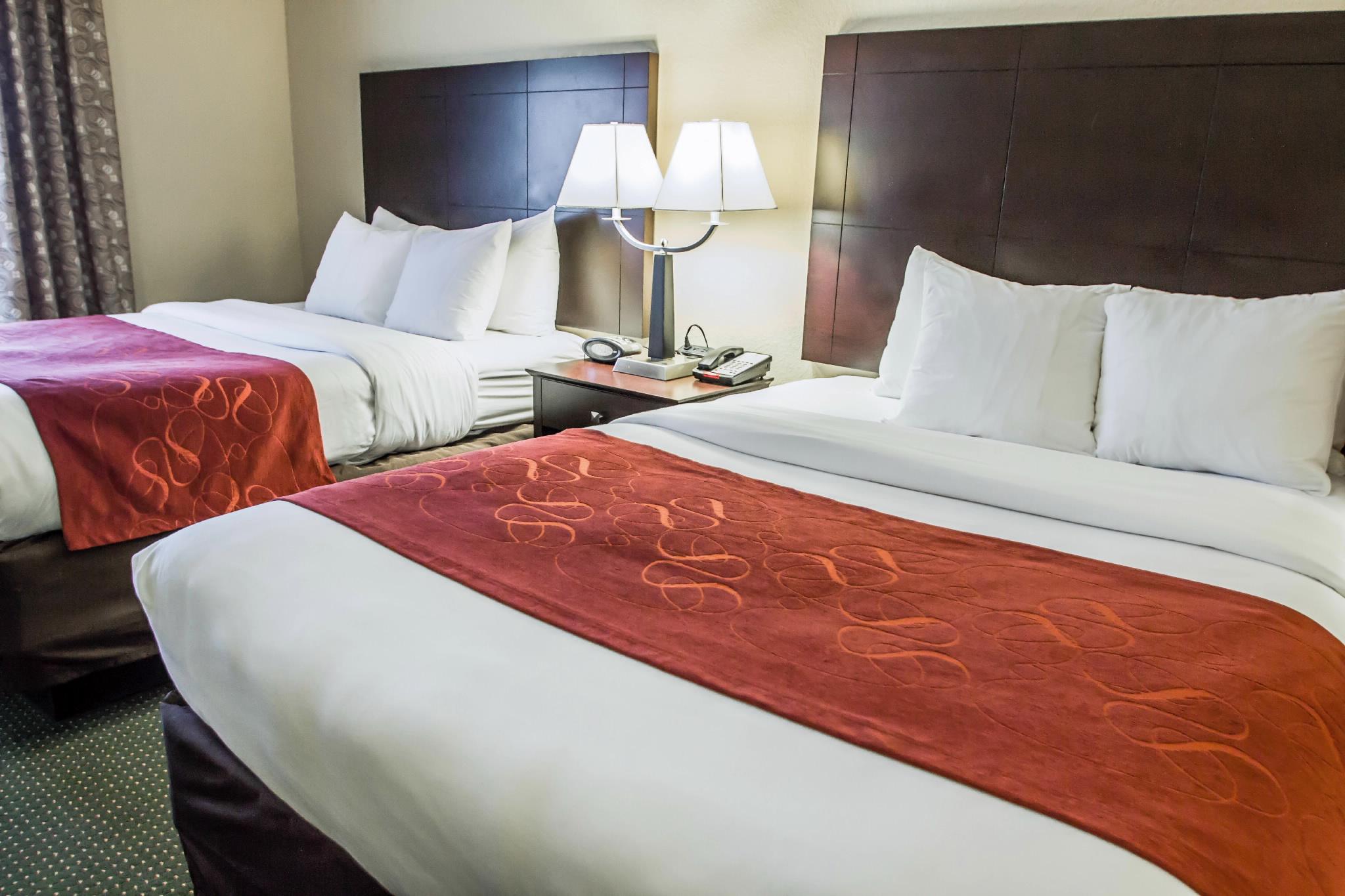 Comfort Suites Orlando Airport מראה חיצוני תמונה
